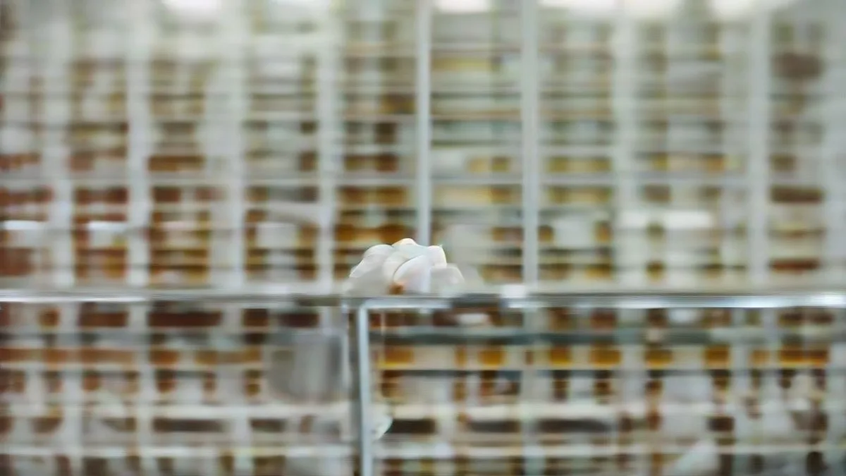 Pharmaceutical researcher in a sterile laboratory inspecting medicine vials and capsules