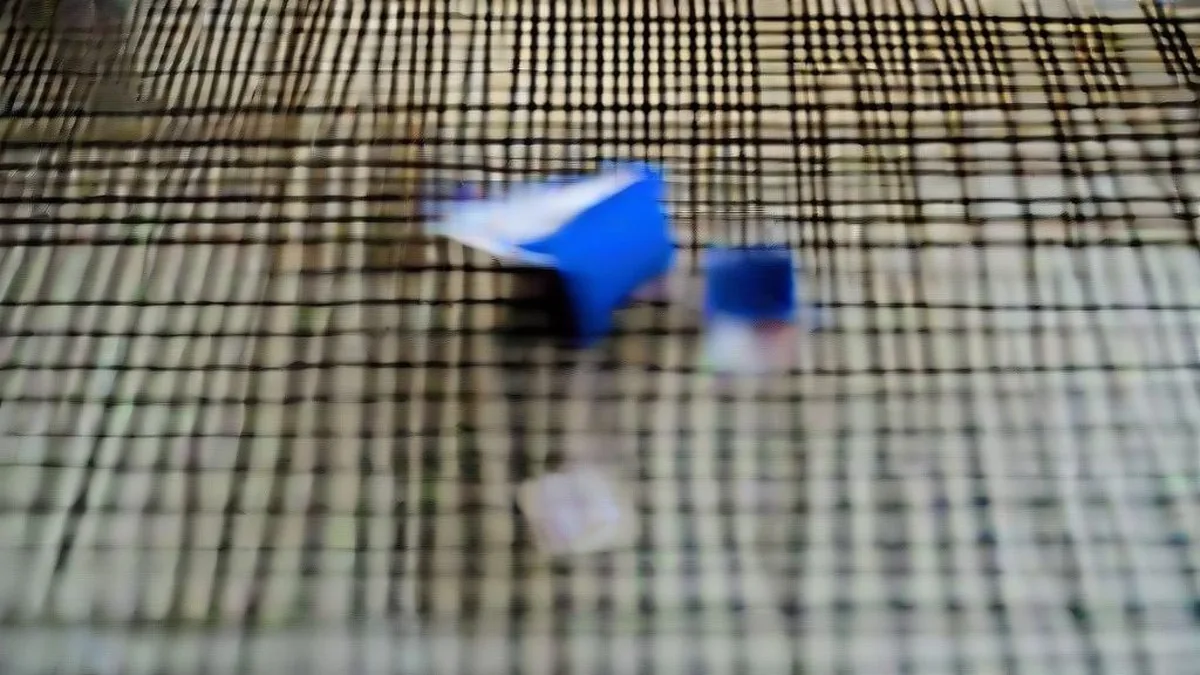A voter casts a ballot into a secure blue voting box inside an election polling station.