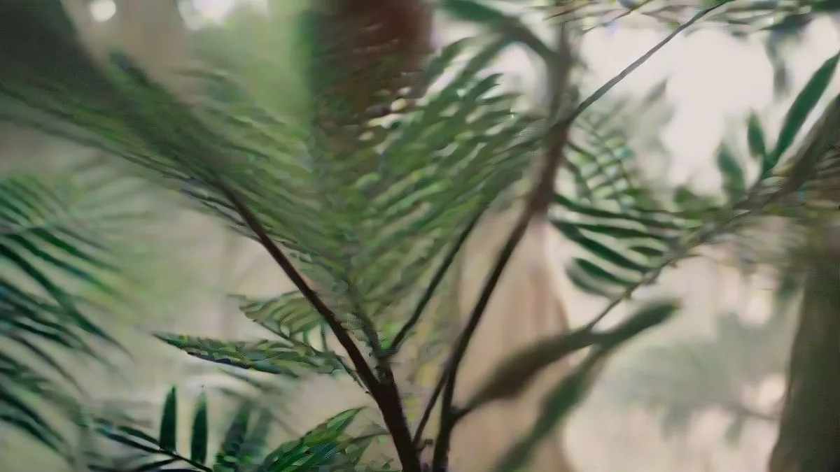 A botanist inspecting the leaves and flowers of a wild shrub in a lush green forest