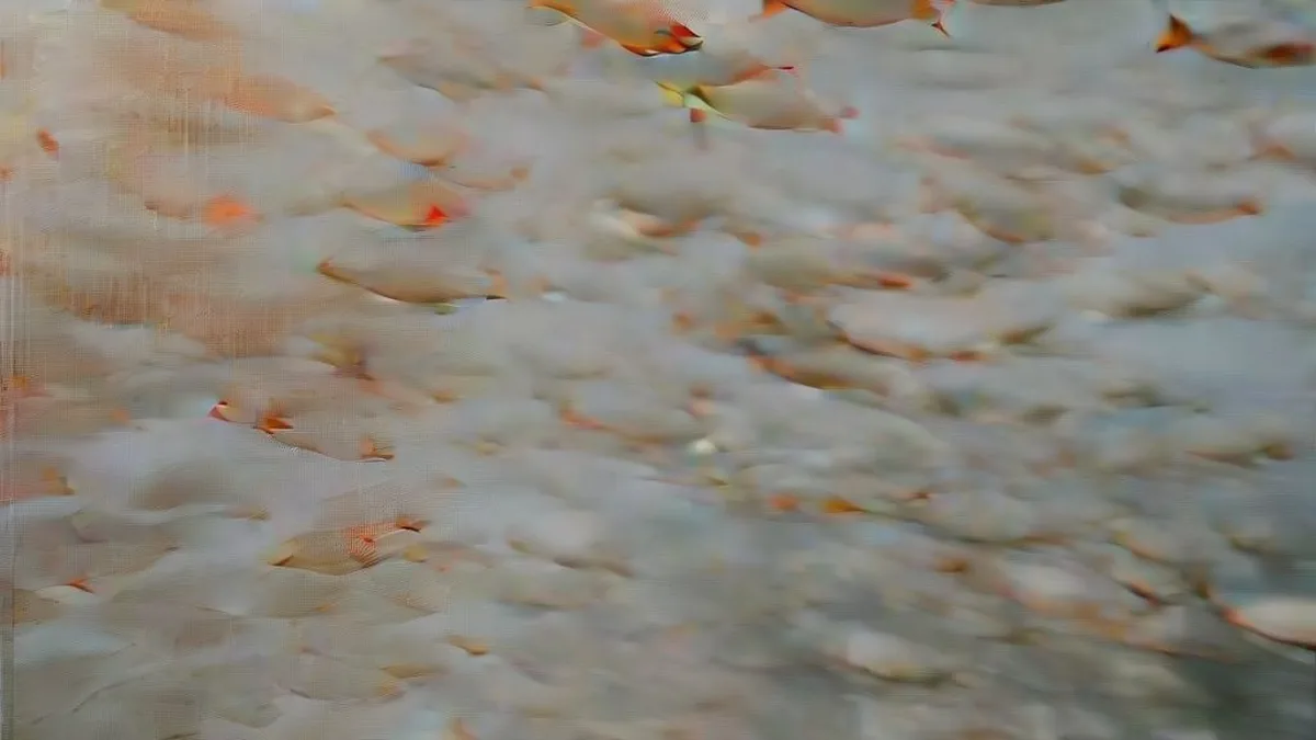 'We Need to Win.' Inside the Five-Year Quest to Reinvent the Goldfish.
